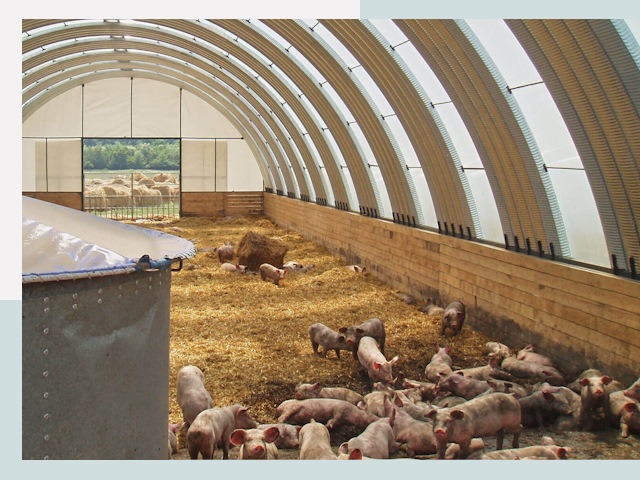 Строительство свинарников в Сердобске